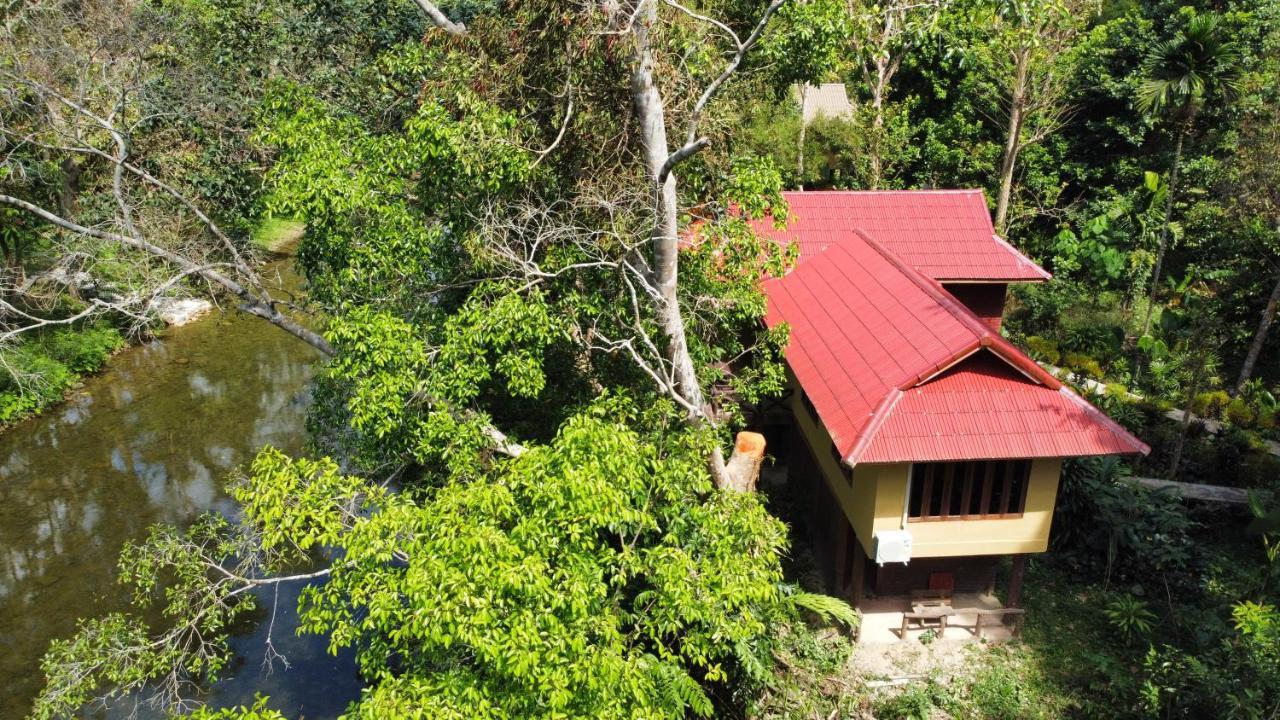 Art'S Riverview Lodge Khao Sok National Park Екстер'єр фото