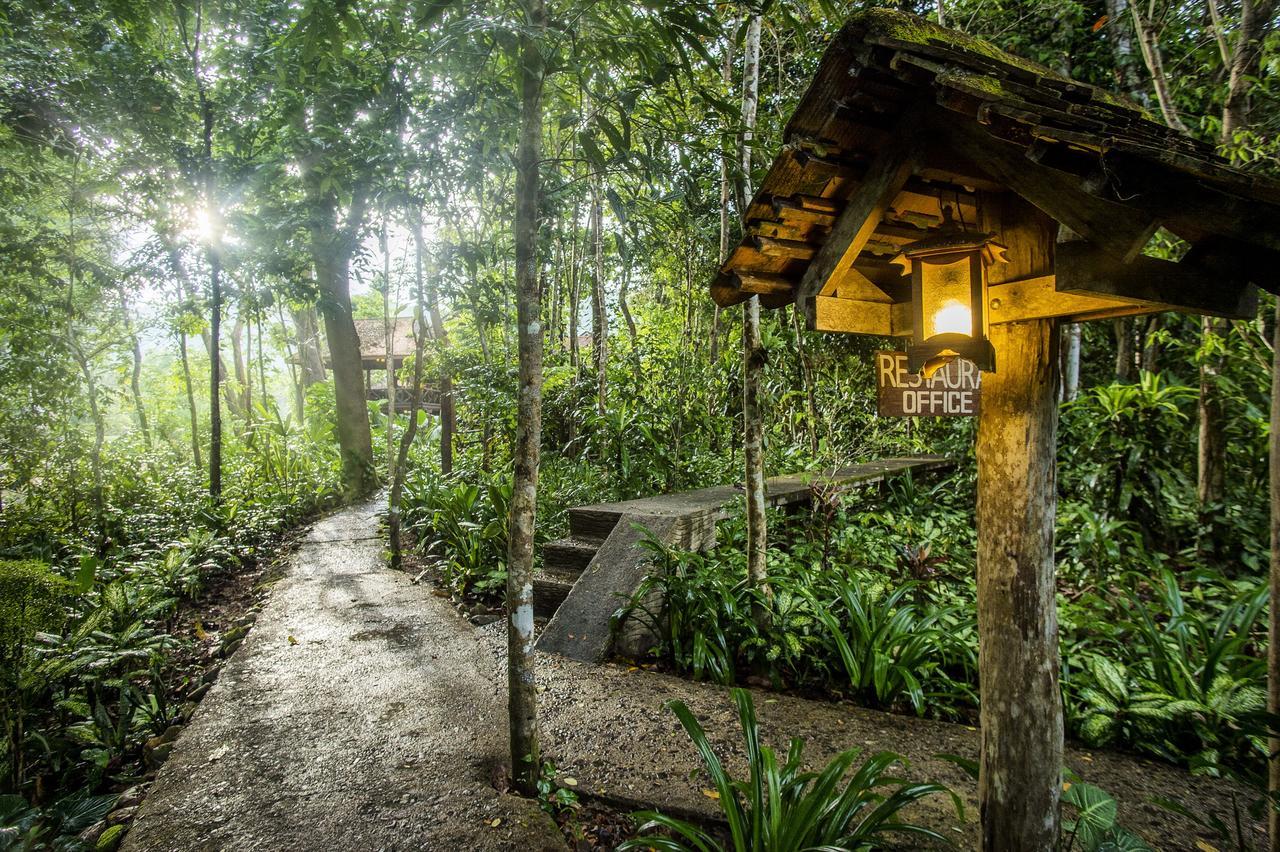 Art'S Riverview Lodge Khao Sok National Park Екстер'єр фото
